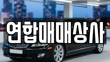 전라남도 해남군 해남읍 중고차매매 전문 연합매매상사