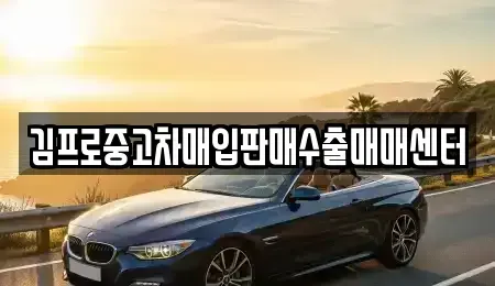 전라남도 해남군 해남읍 단기렌트카,중고차매입,중고차매매,중고차,렌트카,장기렌트카