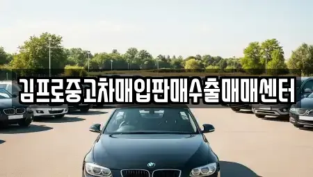 전북 전주시 완산구 다가동3가 중고차매입 전문 김프로중고차매입판매수출매매센터