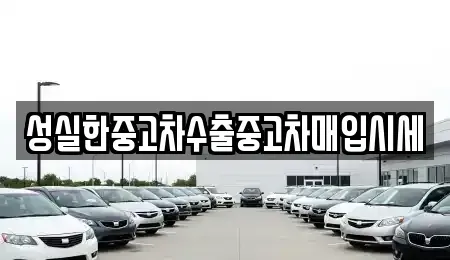 전북특별자치도 전주시 완산구 경원동3가 중고차매입 전문 성실한중고차수출중고차매입시세