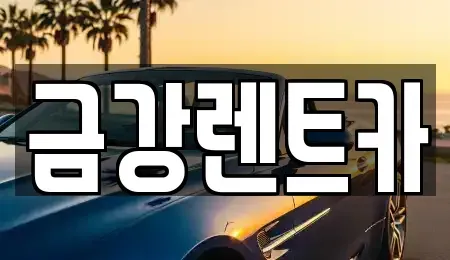 제주특별자치도 제주시 삼도일동 렌트카 전문 금강렌트카