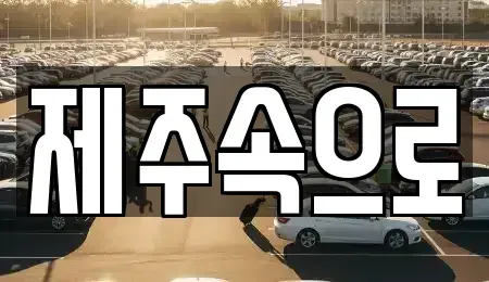 제주특별자치도 제주시 삼도일동 렌트카 전문 제주속으로