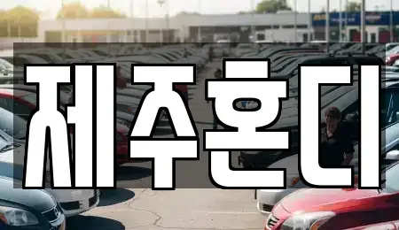 제주특별자치도 제주시 삼도일동 렌트카 전문 제주혼디