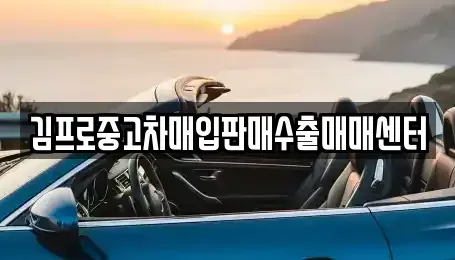 제주특별자치도 제주시 삼도일동 중고차 전문 김프로중고차매입판매수출매매센터