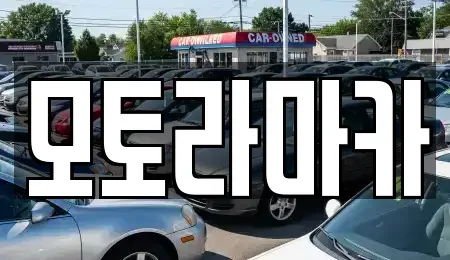 제주특별자치도 제주시 삼도일동 중고차 전문 모토라마카