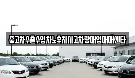 제주특별자치도 제주시 삼도일동 중고차매입 전문 중고차수출수입차노후차사고차량매입매매센타