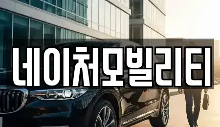 제주특별자치도 제주시 월평동 렌트카 전문 네이처모빌리티