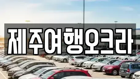 제주특별자치도 제주시 월평동 렌트카 전문 제주여행오크라