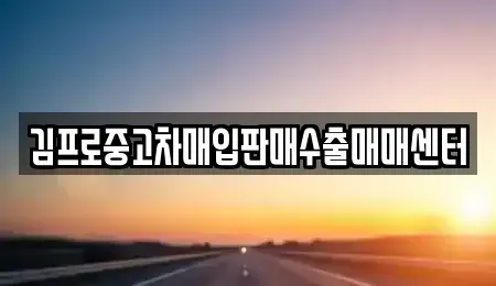제주특별자치도 제주시 월평동 중고차매매 전문 김프로중고차매입판매수출매매센터