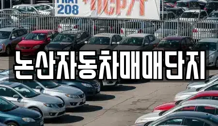 충남 논산시 은진면 중고차 전문 논산자동차매매단지