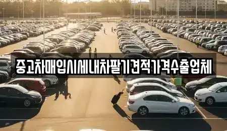 충남 논산시 은진면 중고차매입 전문 중고차매입시세내차팔기견적가격수출업체