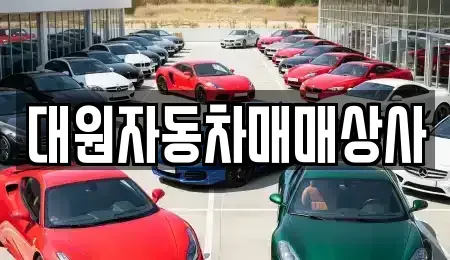 충남 부여군 석성면 중고차 전문 대원자동차매매상사