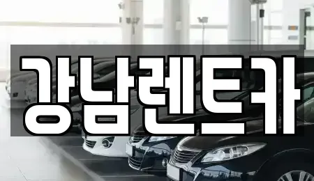 충북 옥천군 군서면 렌트카 전문 강남렌트카