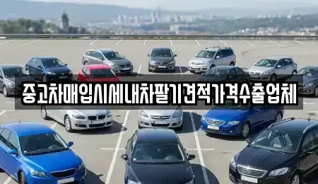 충북 제천시 명지동 중고차매입 전문 중고차매입시세내차팔기견적가격수출업체