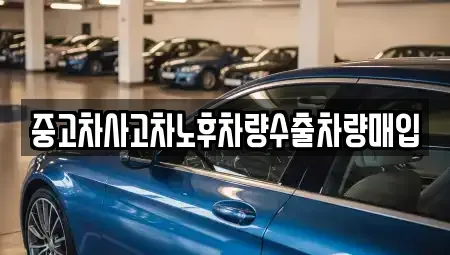 충북 제천시 명지동 중고차매입 전문 중고차사고차노후차량수출차량매입