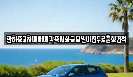 충북 청주시 서원구 모충동 중고차 전문 관허중고차매매매각즉시송금당일이전무료출장견적