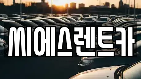 충청남도 천안시 동남구 원성동 렌트카 전문 씨에스렌트카