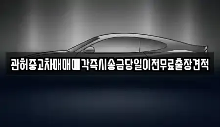 충청남도 천안시 동남구 원성동 중고차매매 전문 관허중고차매매매각즉시송금당일이전무료출장견적