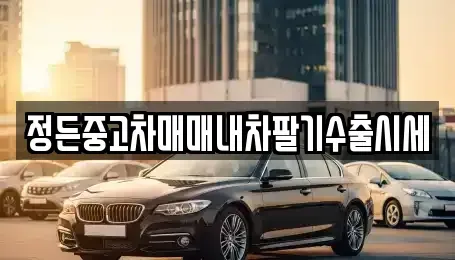 충청남도 천안시 동남구 원성동 중고차매매 전문 정든중고차매매내차팔기수출시세