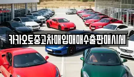 충청남도 천안시 동남구 원성동 중고차매입 전문 카카오토중고차매입매매수출판매시세