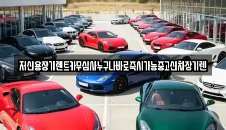 충청북도 청주시 서원구 장성동 장기렌트카 전문 저신용장기렌트카무심사누구나바로즉시가능중고신차장기렌