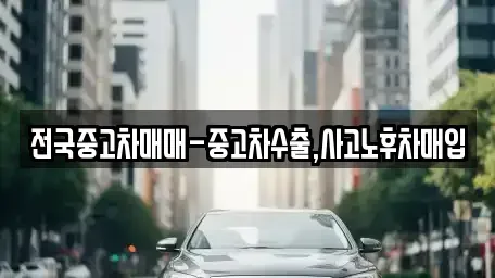충청북도 청주시 서원구 장성동 중고차매입 전문 전국중고차매매-중고차수출,사고노후차매입