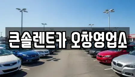 충청북도 청주시 청원구 오창읍 렌트카 전문 큰솔렌트카 오창영업소