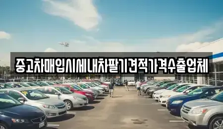 충청북도 청주시 청원구 오창읍 중고차매입 전문 중고차매입시세내차팔기견적가격수출업체