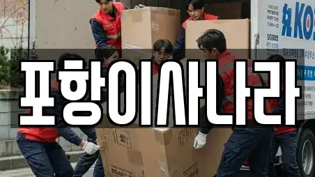 포항이사나라