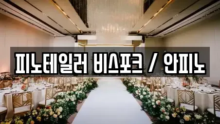 서울특별시 중구 광희동1가 웨딩드레스 상담안내 17